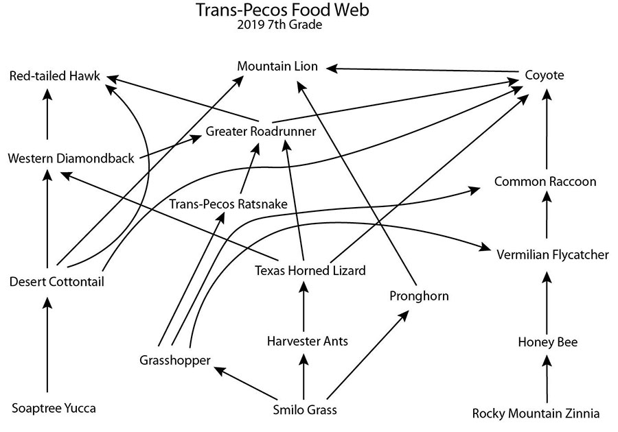 Trans-Pecos Food Web